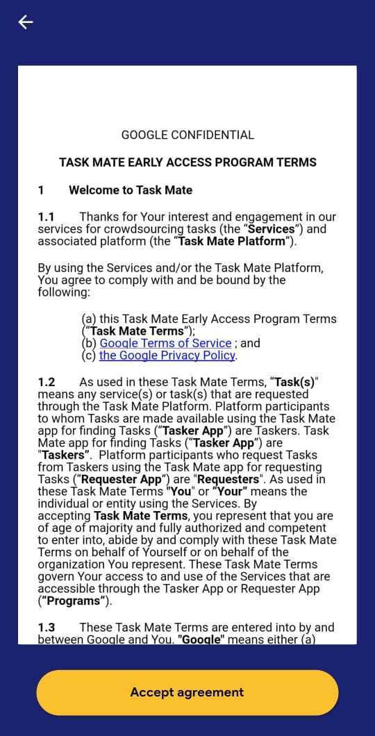 Task Mate Early Access Programm Terms