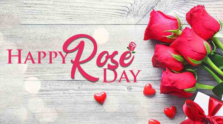 happy rose day my love 2022