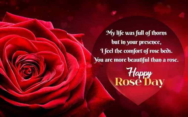 happy rose day wishes 2022