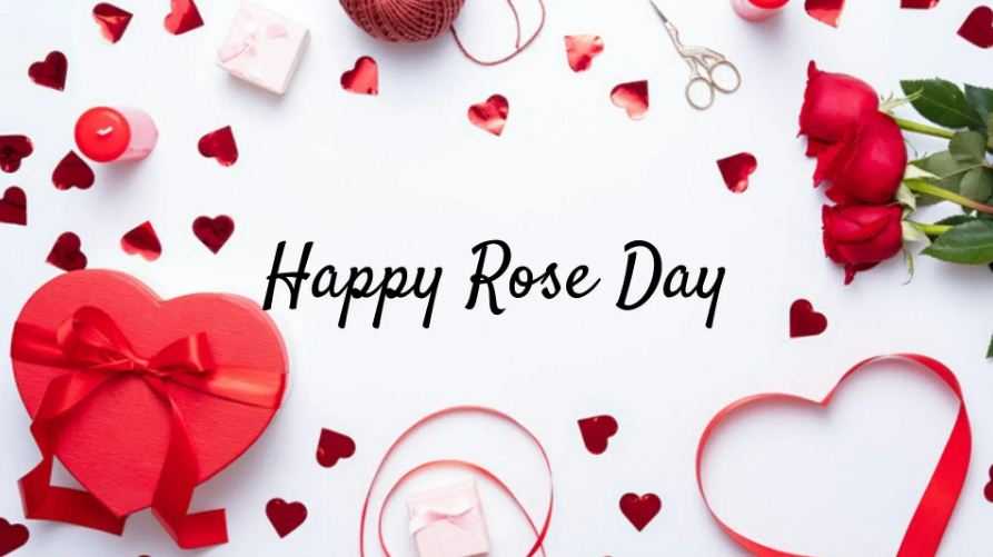 Happy Rose Day HD Images