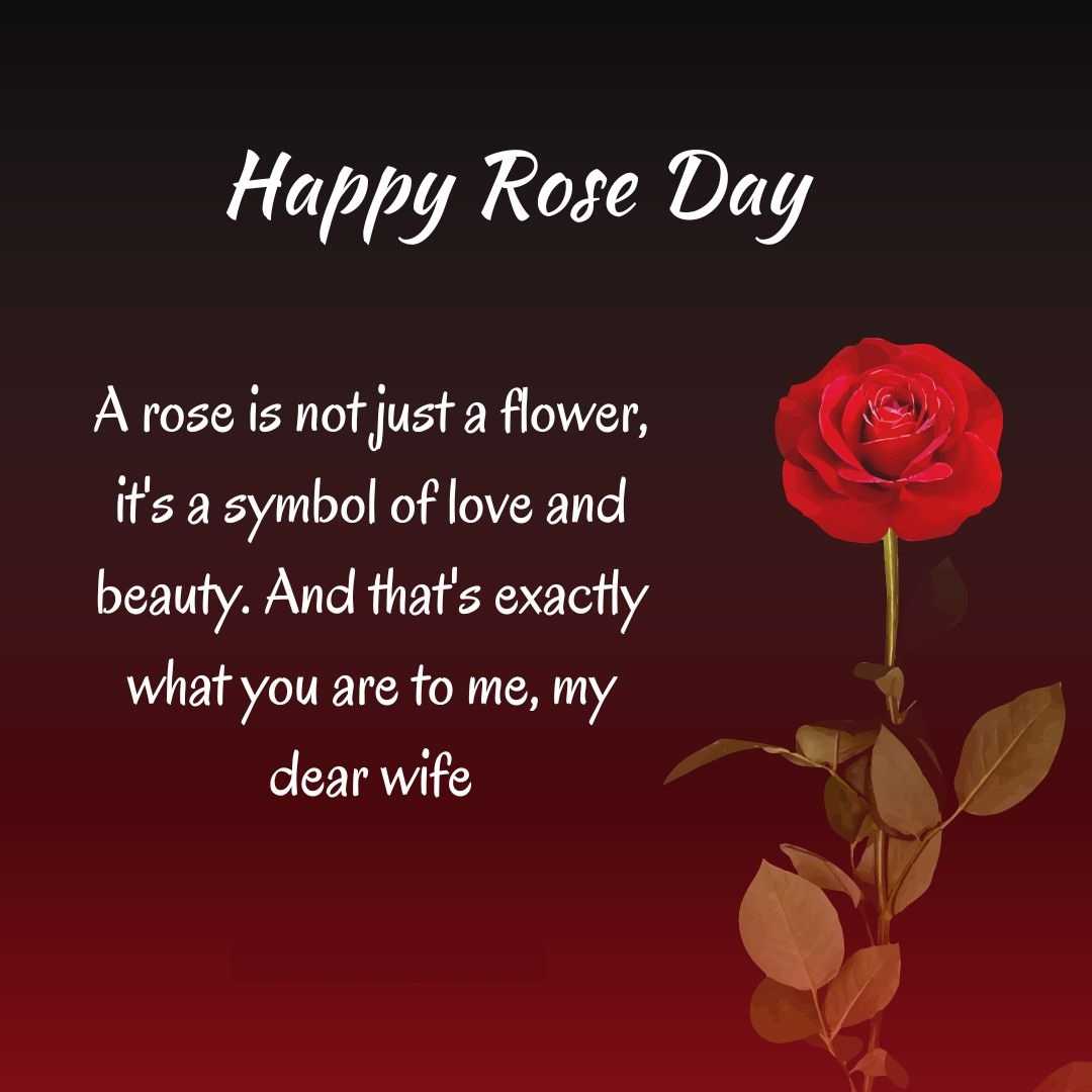 Happy Rose Day 2023 Wishes ?Images, Whatsapp Status Download